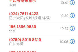 萍乡融资清欠服务